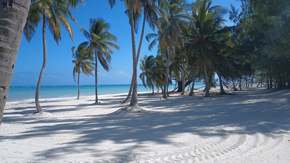 Tall palms over white sand and the blue sea