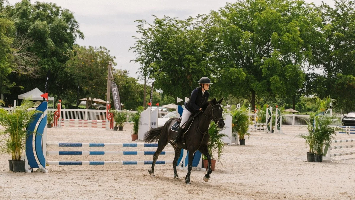 A rider in the arena at Los Establos, palms behind